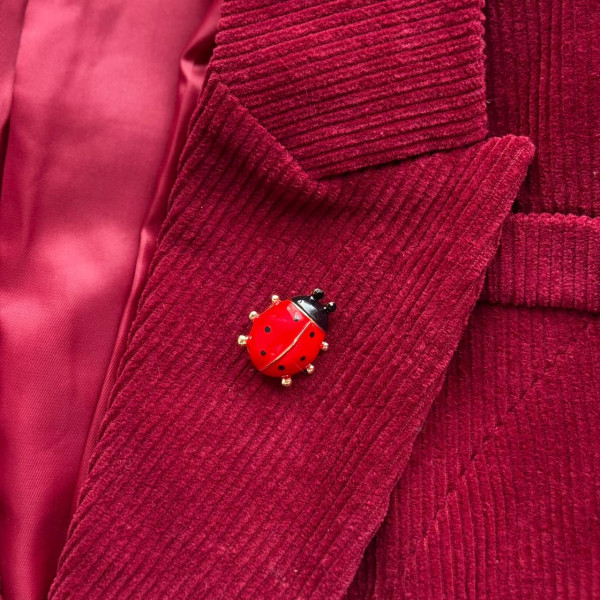 Брошь Божья коровка